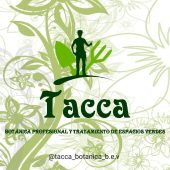@tacca_botanica_b.e.v